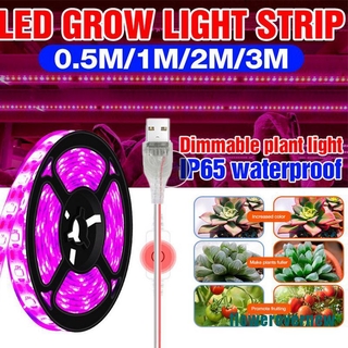 Đèn Led Trồng Cây Quang Hợp Usb