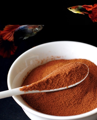 ARTEMIA Khô | Thức Ăn Giàu Dinh Dưỡng Cho Cá Cảnh