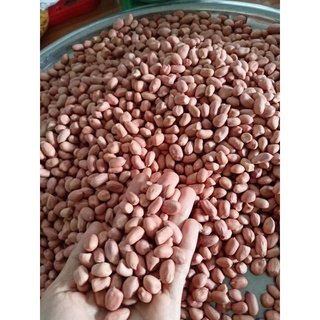 Lạc quê 1