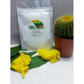 Bột mặt nạ dẻo bạc hà 100g
