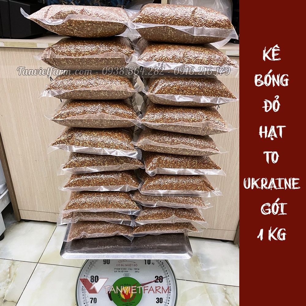 [Ukraine] Kê bóng đỏ hạt to cho Vẹt, Yến phụng, Cu gáy, Hamster, Chim cảnh [Gói 1Kg]