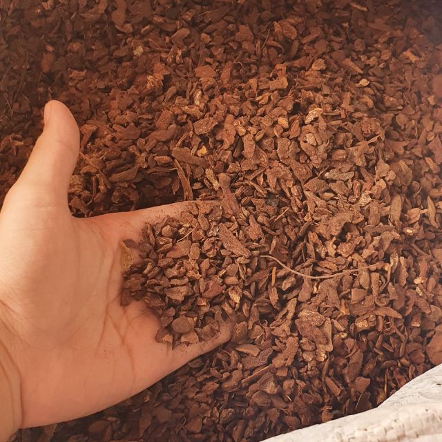Vỏ thông xay hạt bắp đã qua xử lý