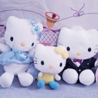 Set mèo của khách