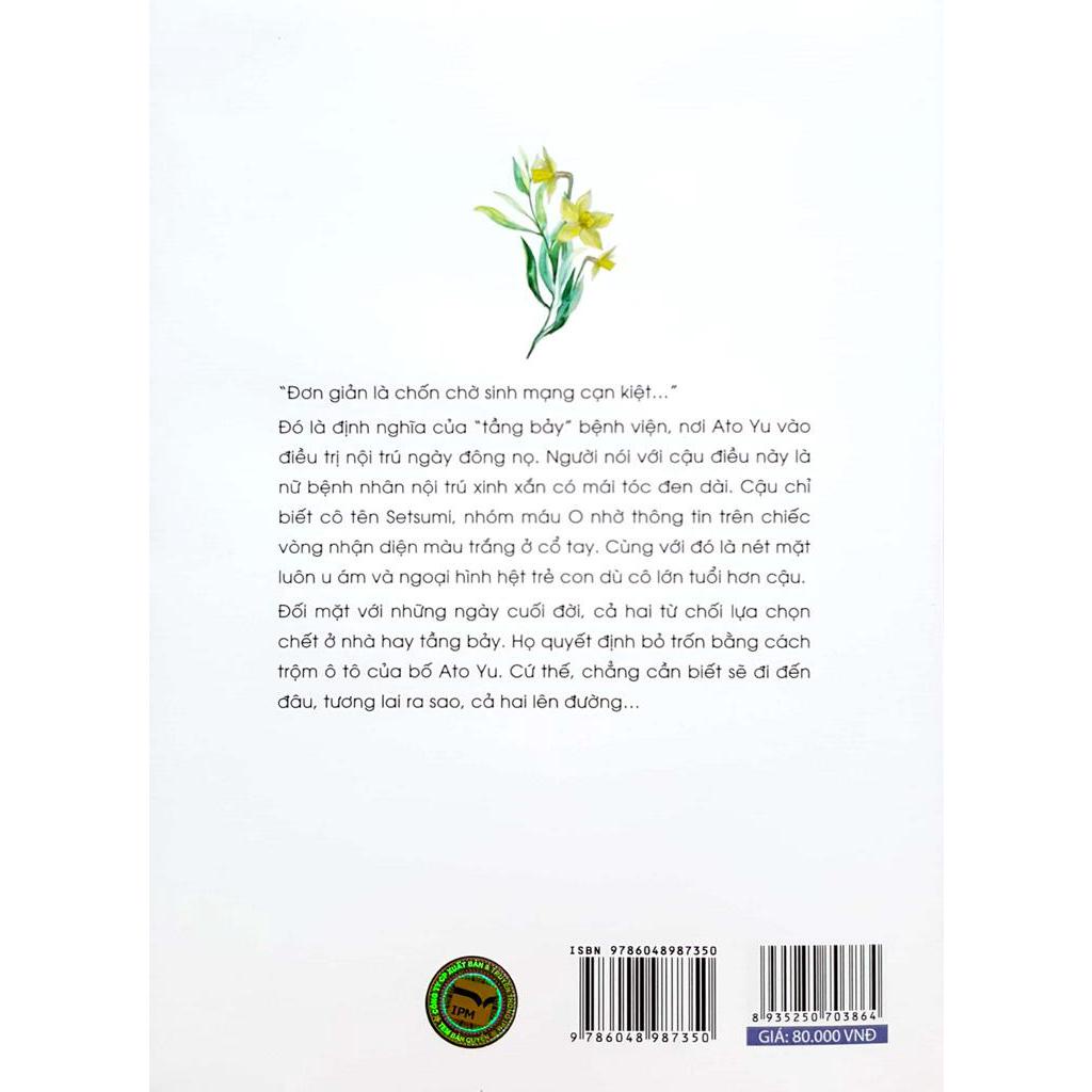 Sách Narcissu - Light Novel