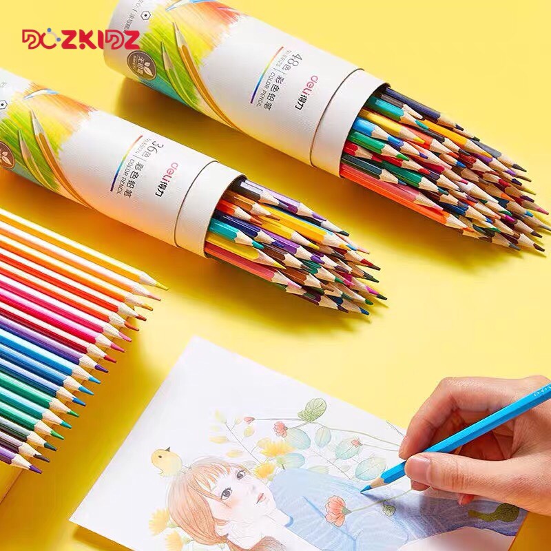 Bút chì màu 12/24/36 cao cấp - DOZKIDZ