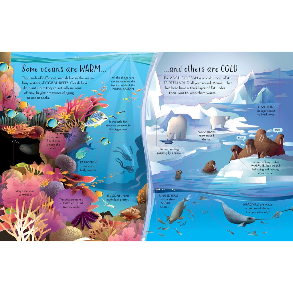 Sách See Inside Oceans - Khám phá đại dương