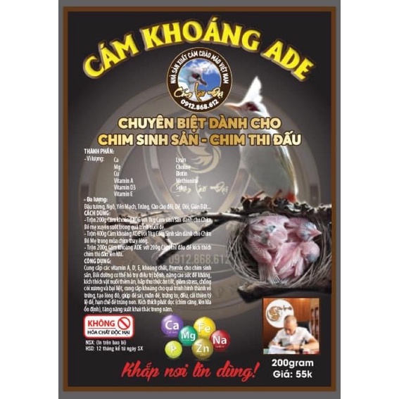 Win đấu trường cám lão đại