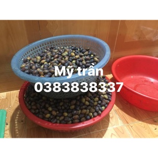 Hạt sen tươi huế