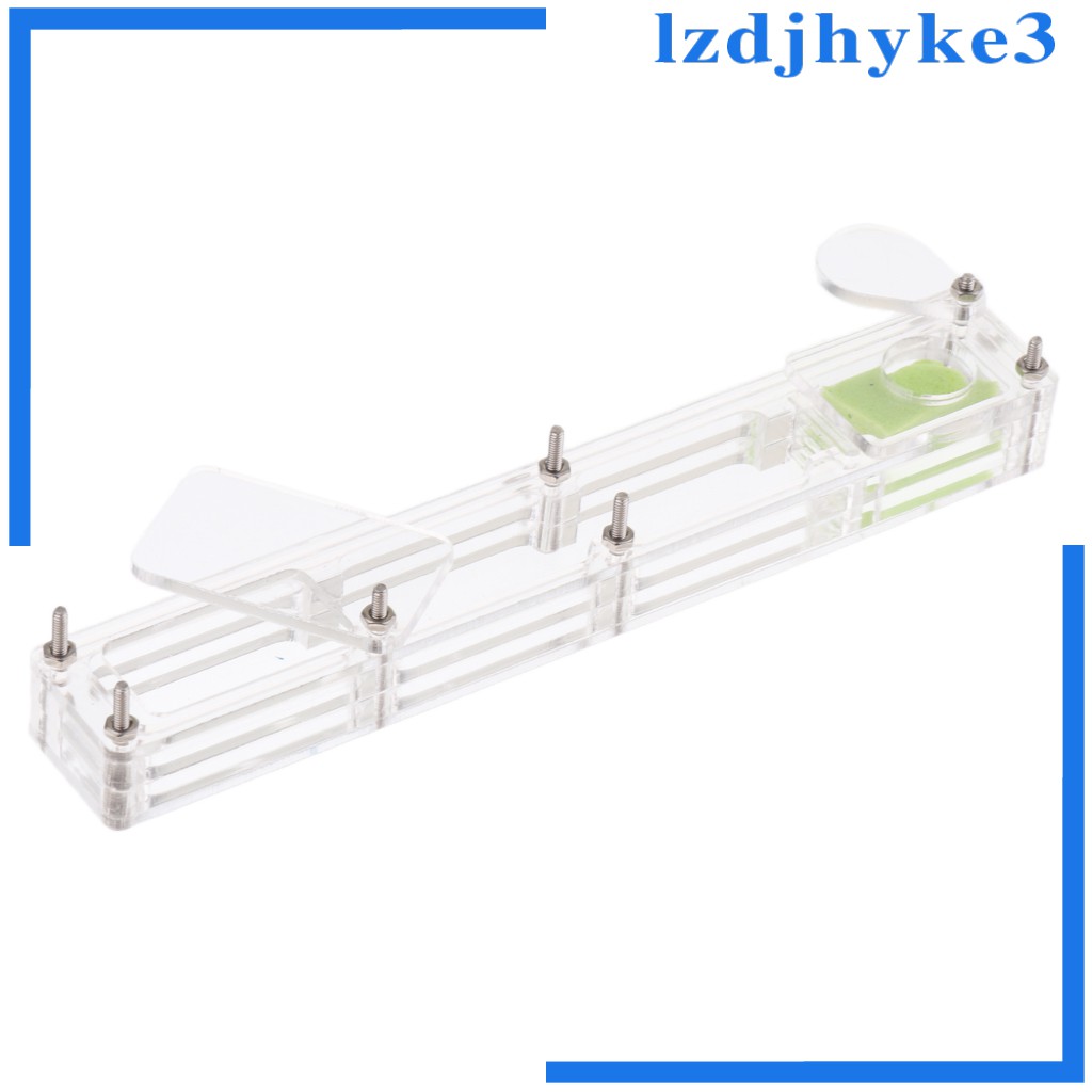 [lzdjhyke3] Hộp Nuôi Kiến Nhỏ Bằng Acrylic Trong Suốt Cho Nông Trại