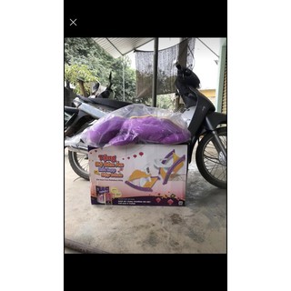Thú bông khủng long dài 90cm