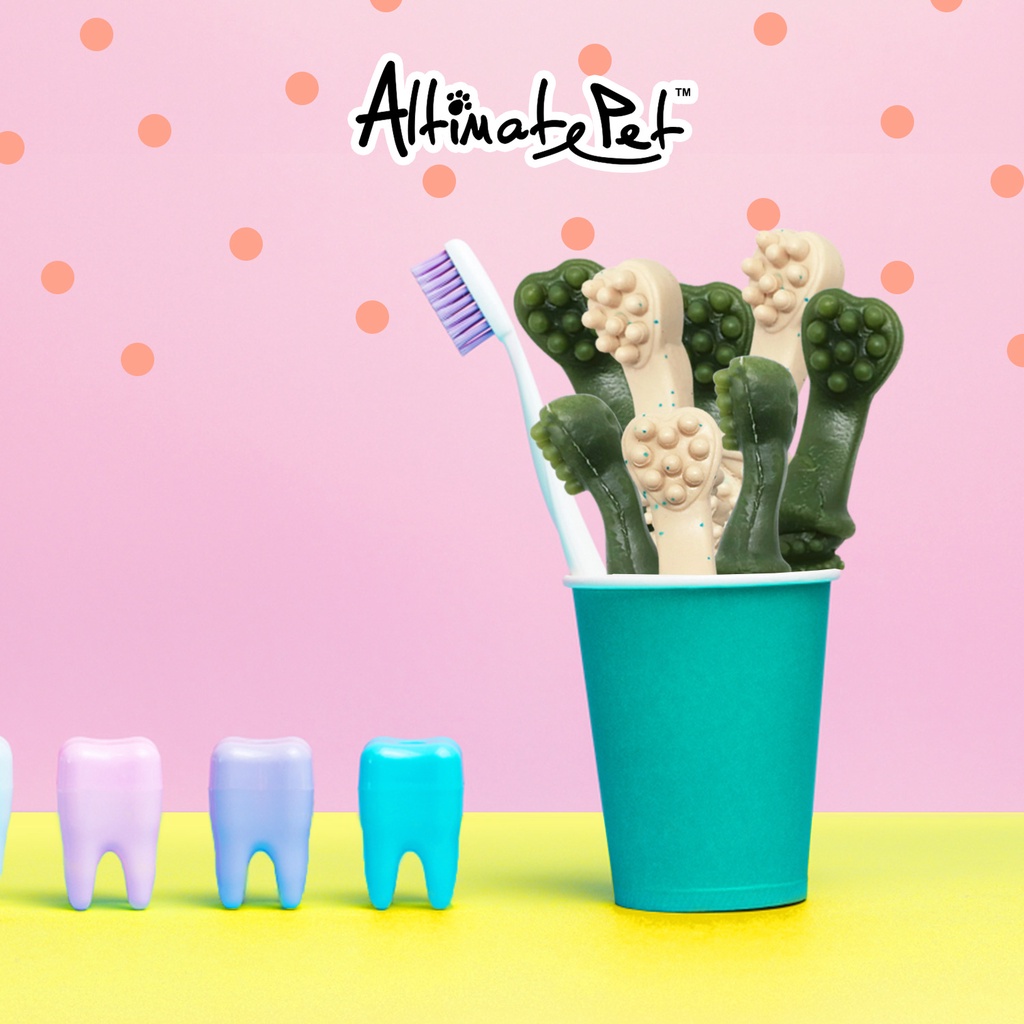 Xương gặm sạch răng thơm miệng cho chó hiệu Dental Chew hình bàn chải nhỏ 40g