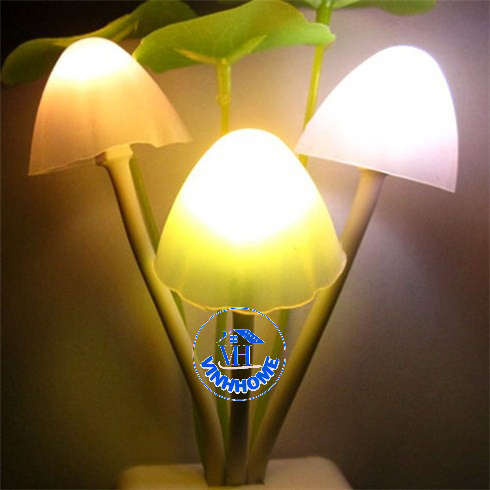 Đèn ngủ cảm ứng ánh sáng dịu nhẹ hình cây nấm siêu cute dễ thương vinhhome.store