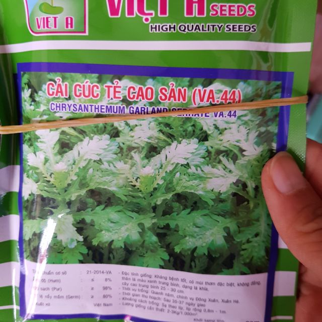 Cải cúc tẻ