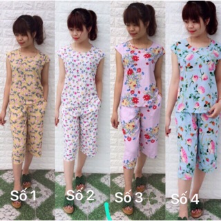 Combo 2 Bộ lanh sớ nữ phạm hằng