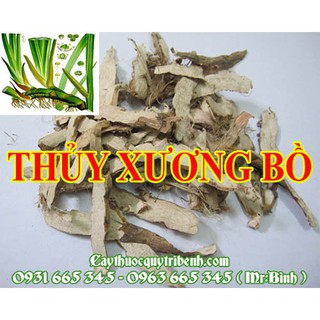 Thủy Xương Bồ 500gr - Hàng Công Ty Cao Cấp - Thảo Dược Thanh Bình