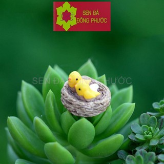 (hót) - Tổ chim vàng anh - Phụ kiện tiểu cảnh trồng sen đá, xương rồng, cây phong thuỷ