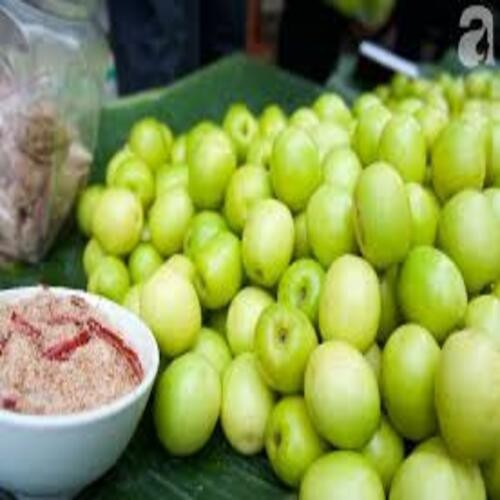 CÂY GIỐNG TÁO CHUA SIÊU QUẢ NĂNG SUẤT CAO