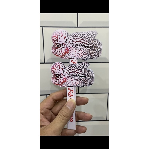 Cây cá kè(dành cho tất cả dòng la hán)
