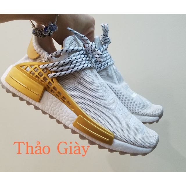 Giày thể thao human gold