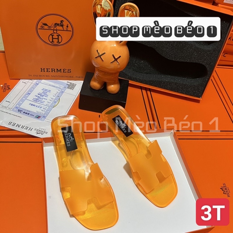 Dép hm quai chữ H basic new fullbox