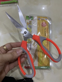 Kéo văn phòng Shutter
