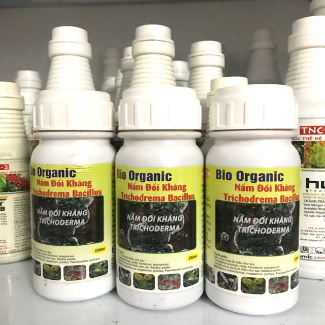 Trichoderma Bacillus 250ml - nấm đối kháng sinh học phòng nấm đen thân