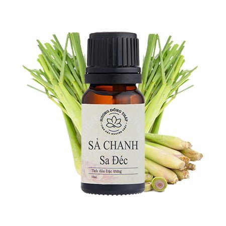 MD Tinh dầu chanh sả MSĐ