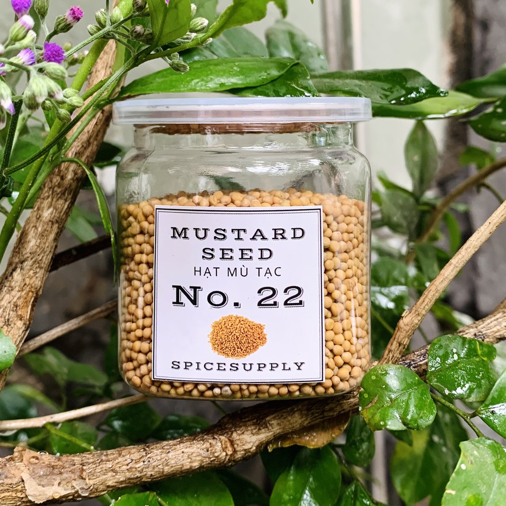 Mustard seed - Hạt mù tạc (tạt) vàng gói nhỏ zip 100g hũ 120ml