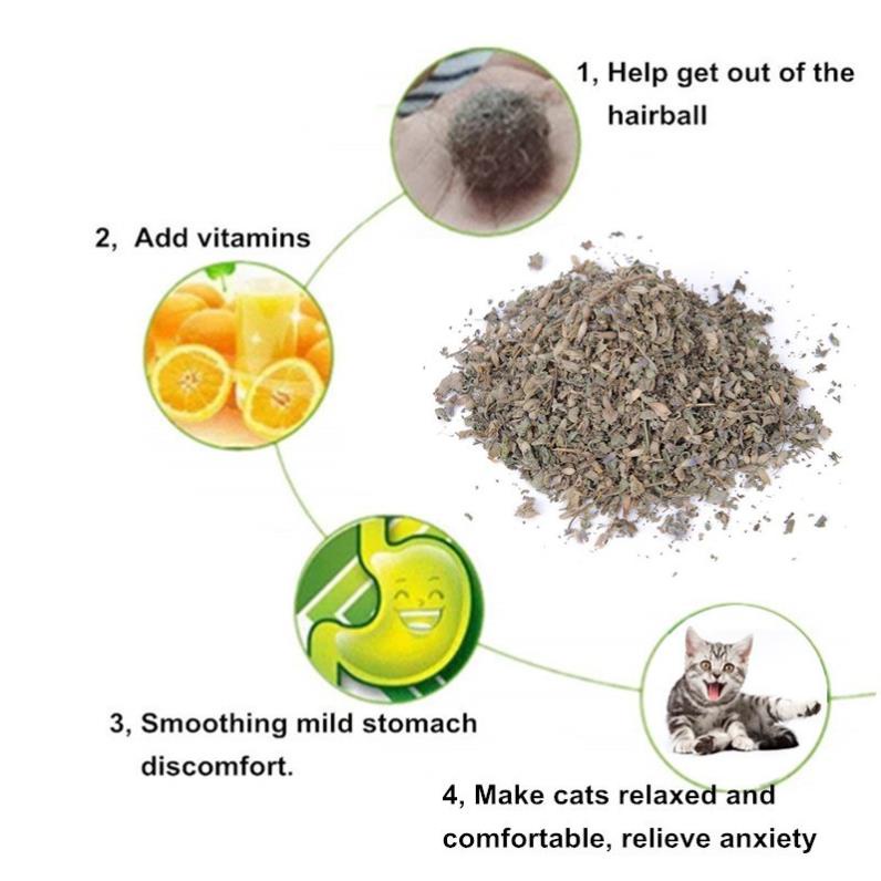 CỎ BẠC HÀ MÈO - CATNIP NHẬP MĨ 40ML - VIDEO TỰ QUAY