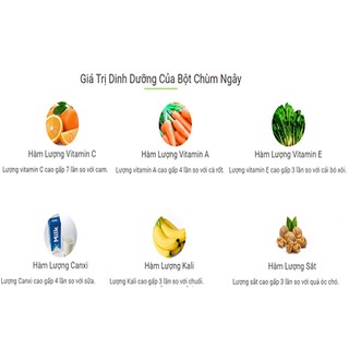 Bột Lá Chùm Ngây 100g - [Vườn Nhà Mình]
