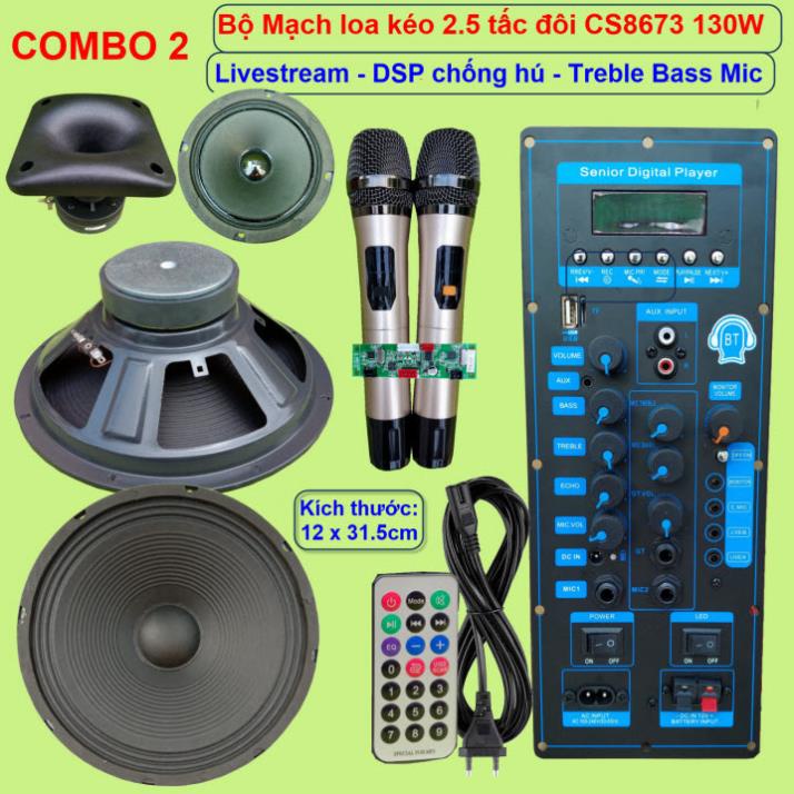 Mạch loa kéo 2 tấc rưỡi đôi CS8673E 130W LIVESTREAM - DSP lập trình chống hú, chỉnh Bass Treble Micro