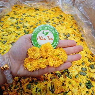 TRÀ HOA CÚC VÀNG - HOÀNG CÚC