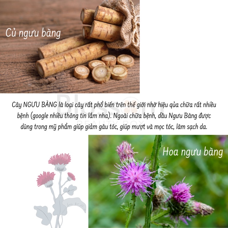 Dầu gội chống rụng tóc, giảm gàu ngứa APTEKA