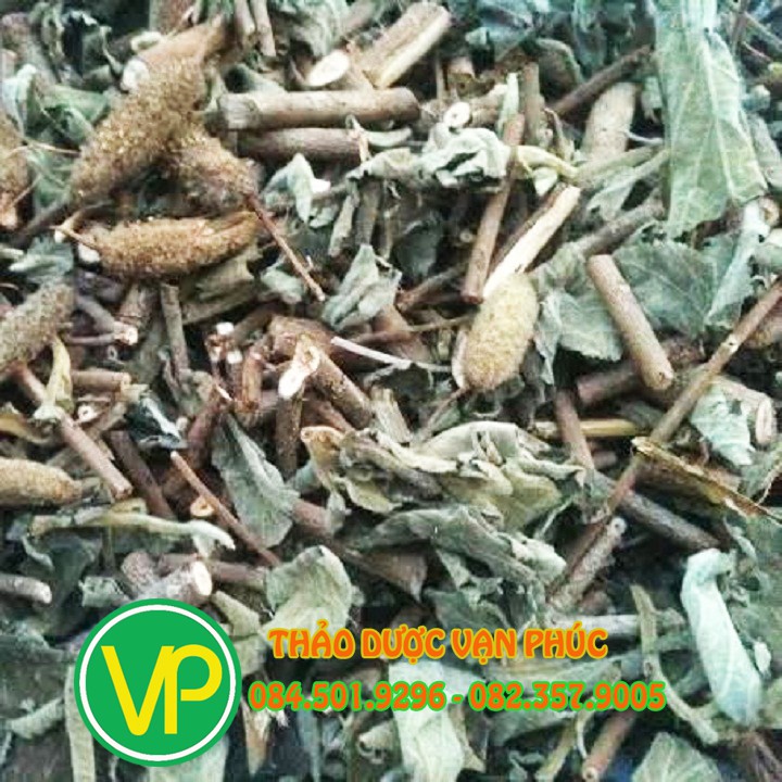 [KHUYẾN MÃI] Cây an xoa khô 1kg (Hàng mới,sạch,toàn thân không lá) | BigBuy360 - bigbuy360.vn
