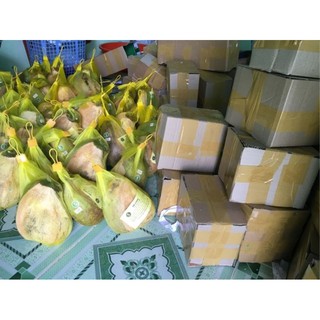 Dừa sáp loại 1
