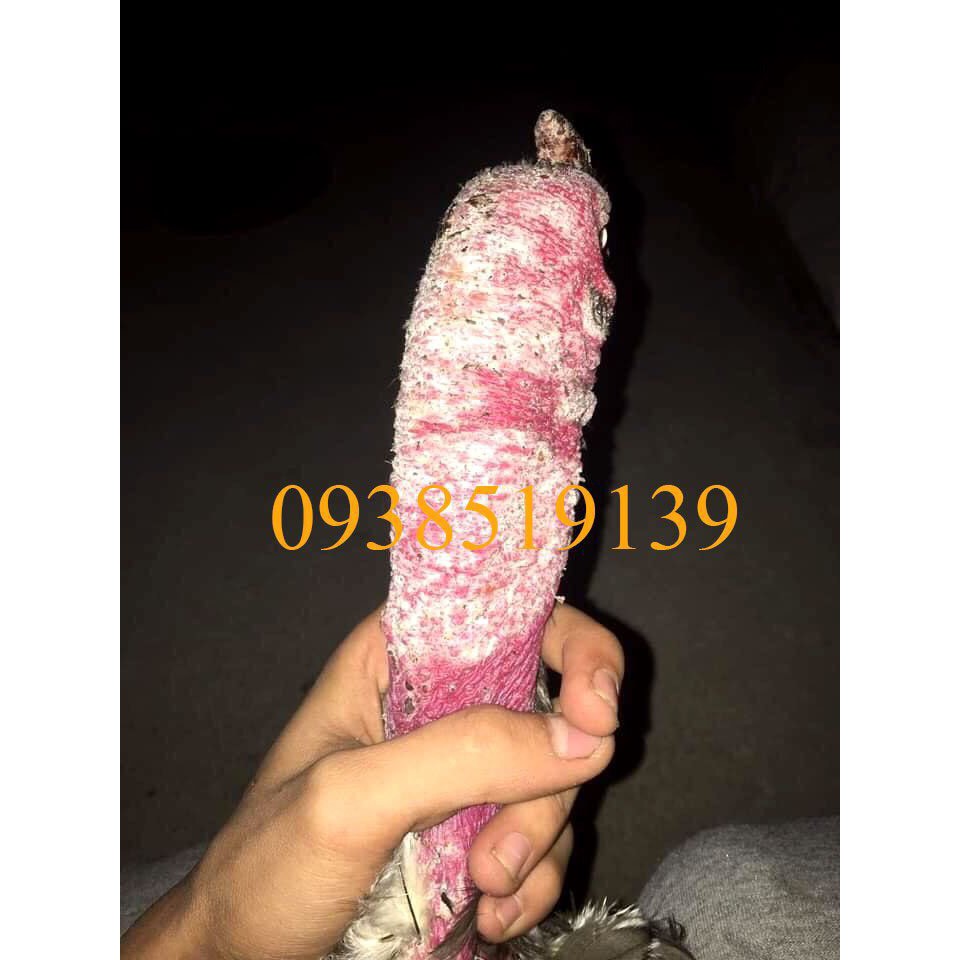 Rễ cây Bạch hạc loại bỏ nấm mốc lác gà 500ml