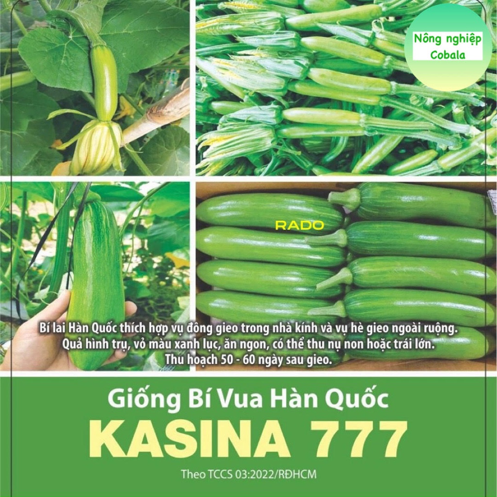 Hạt Giống Bí Vua Hàn Quốc (777) 5 Hạt