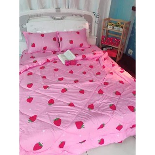 Chăn mền chần bông kích thước 1m8 x2m mẫu dâu hồng ngọt ngào