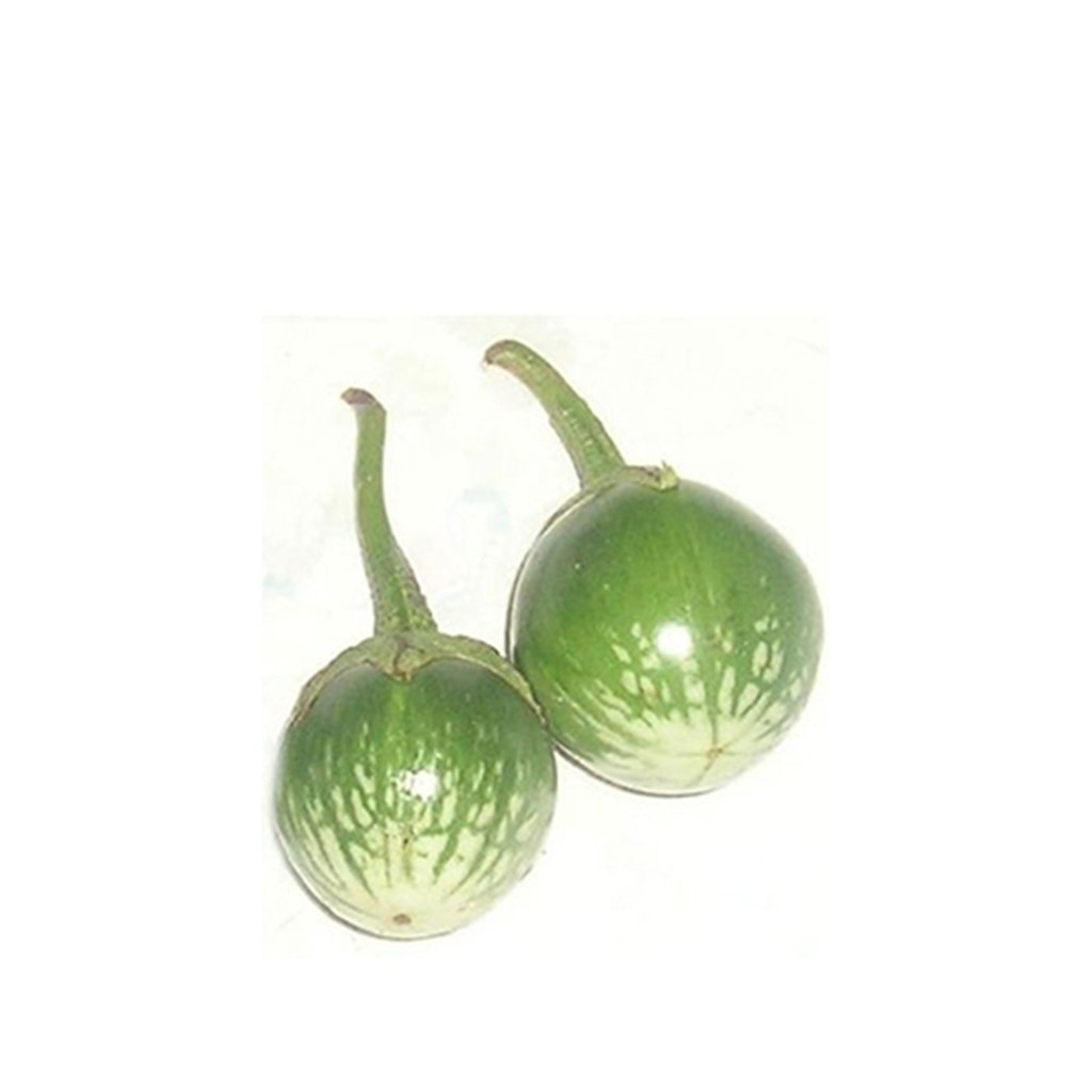 Hạt giống Cà bát ta da ếch - Gói 50 hạt