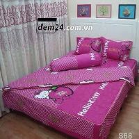 Bộ ga chun + 2 vỏ gối