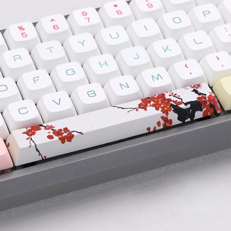 Nắp đậy phím SpaceBar PBT 6.25U Cherry Profile gk61 gk64 nhuộm màu năm mặt