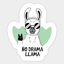 Áo thun No Drama Llama hãng epk xuất Pháp