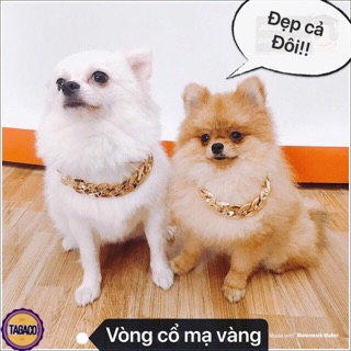 Vòng cổ mạ vàng cho chó mèo
