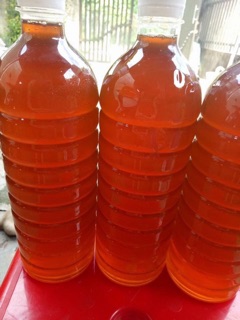MẬT ONG HOA CÀ PHÊ