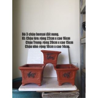 Bộ 3 chậu bonsai đất nung vuông