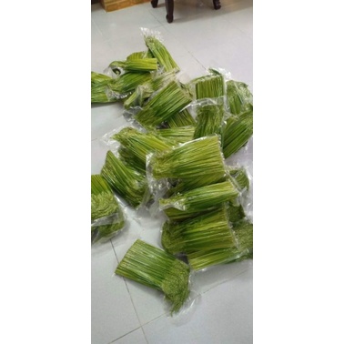 Đòng đòng ngâm rươu