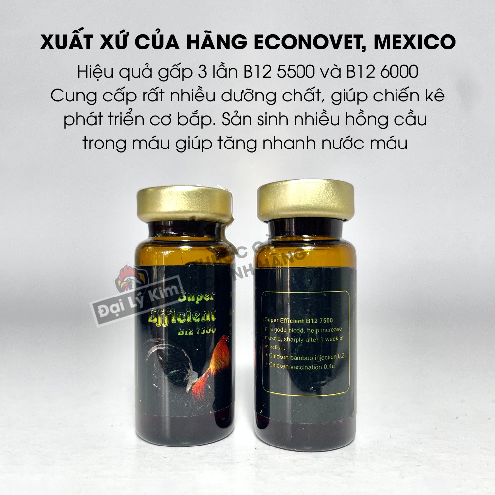 Dinh dưỡng nuôi gà đá tăng bo B12 7500, chai 10ml, nhập khẩu Mexico chính hãng