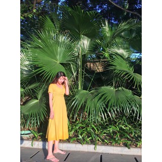 ORDER Váy hở lưng vintage ảnh thật+ feedback