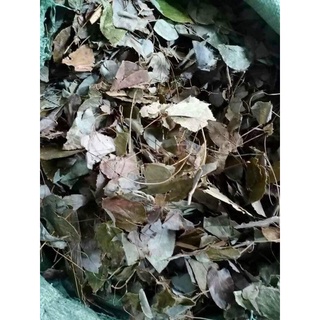 500g lá dâm dương hoắc.