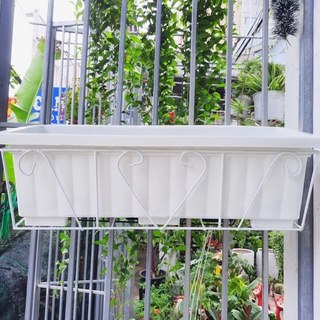 [Ưu đãi] Combo khung sắt - chậu chữ nhật 60*20*18cm trồng hoa, rau treo lan can ban công
